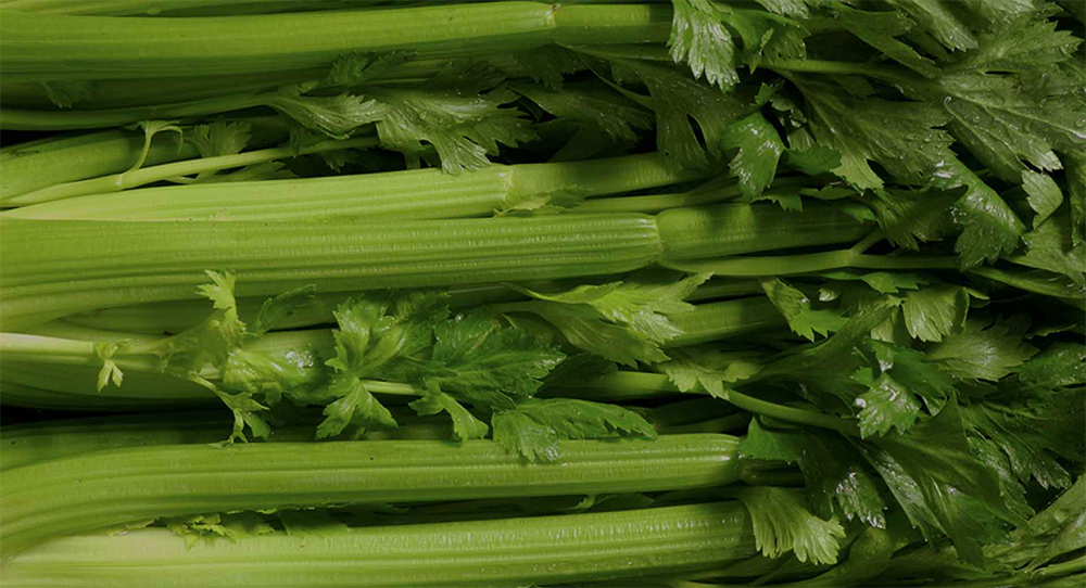The Medical Medium and the Celery Juice Craze